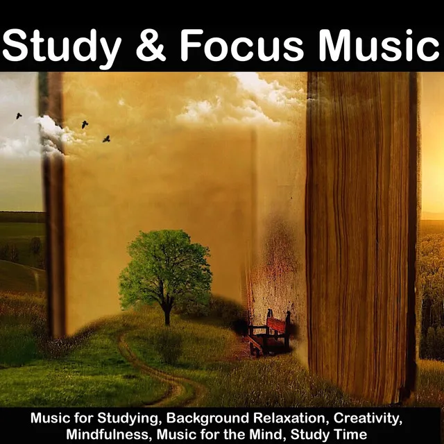 Study & Focus Music - Music for Studying, Background Relaxation, Creativity, Mindfulness, Music for the Mind, Study Time