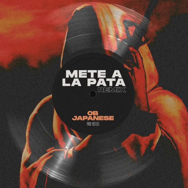 Mete a la Pata - Remix