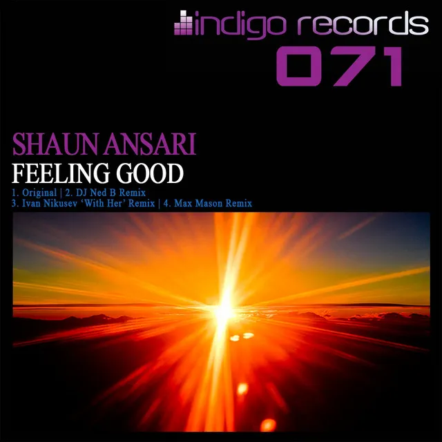 Feeling Good - DJ Ned B Remix