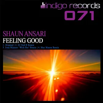 Feeling Good by Shaun Ansari