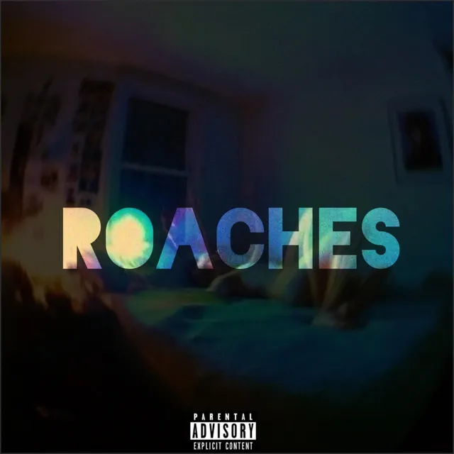 Roaches