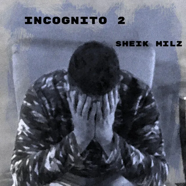 Incognito 2