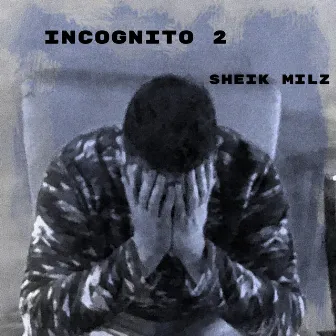 Incognito 2 by Sheik Milz