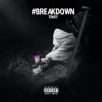 #breakdown by TZMZT