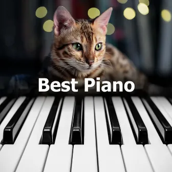 Best Piano by PETS LOVE MUSIC