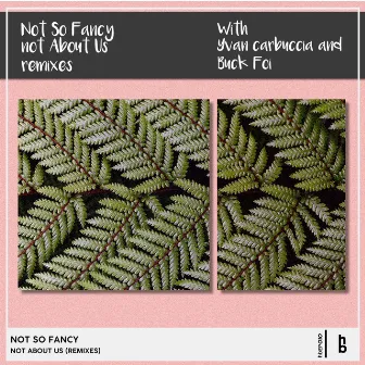 Not About Us (Remixes) by Not So Fancy