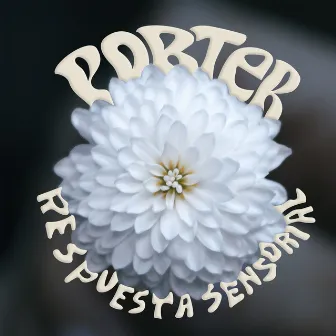 Respuesta Sensorial by Porter