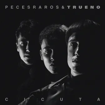 Cicuta (Remix) by Peces Raros