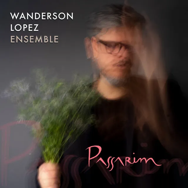 Passarim - Wanderson Lopez Ensemble (Ao Vivo)