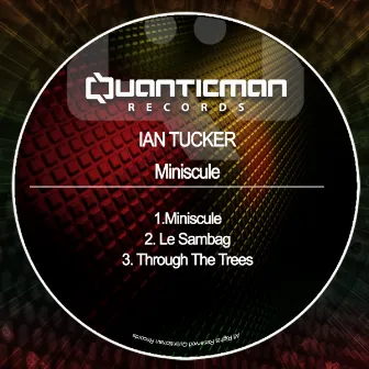 Minisculke by Ian Tucker