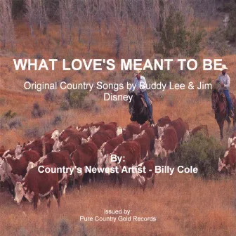 What Love's Meant To Be by Billy Cole