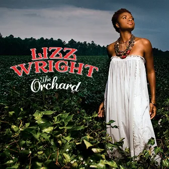 The Orchard by Lizz Wright