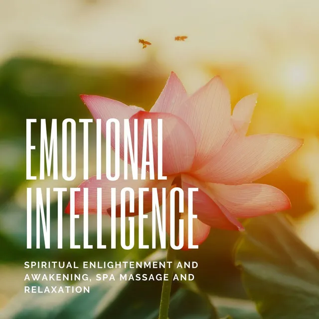 Emotional Intelligence: Spiritual Enlightenment and Awakening, Spa Massage and Relaxation