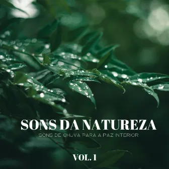 Sons Da Natureza: Sons De Chuva Para A Paz Interior Vol. 1 by Binaural Beats Tons de Estudo