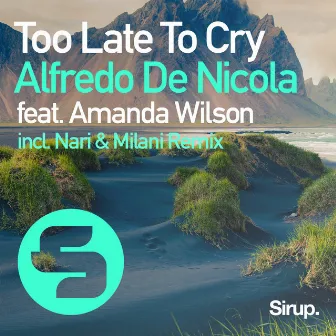 Too Late to Cry by Alfredo De Nicola