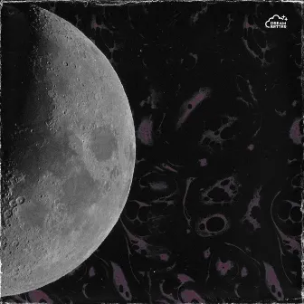 Moondust by Codewav