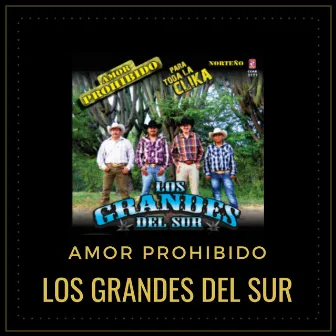 Amor Prohibido by Los Grandes Del Sur