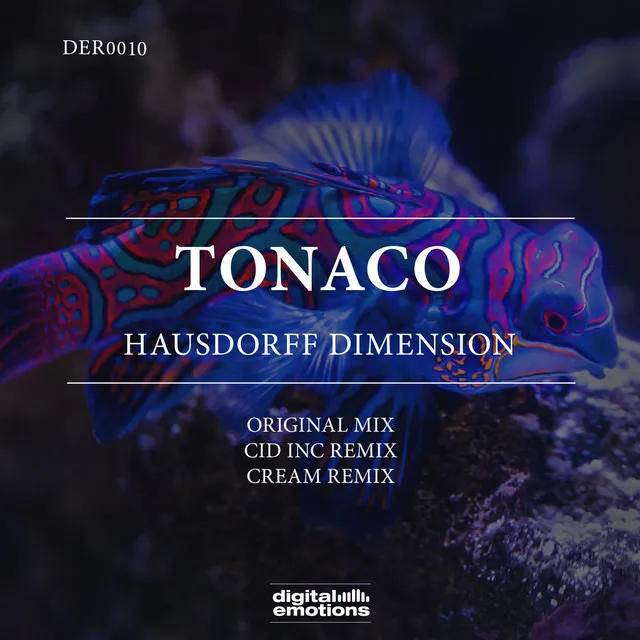 Hausdorff Dimension - Cid Inc. Remix