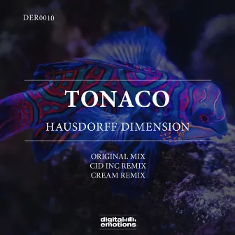 Hausdorff Dimension by Tonaco