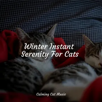 Winter Instant Serenity For Cats by Cat Music Dreams