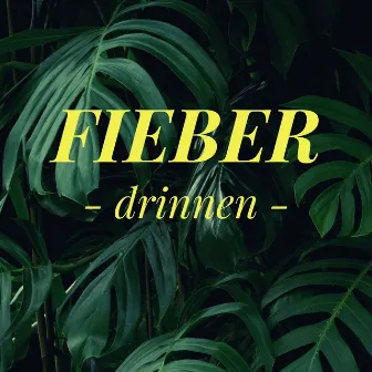 Drinnen by Fieber