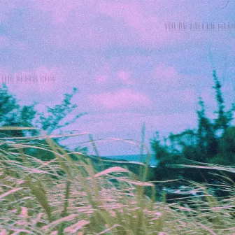 you're taller than the reeds now by Poor Boy Rifle