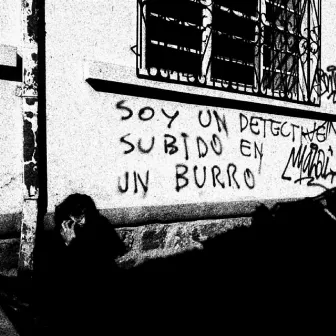 Soy un detective subido en un burro by San Pedro Bonfim