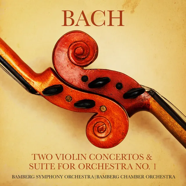 Violin Concerto in A Minor, BWV 1041: I. Allegro moderato