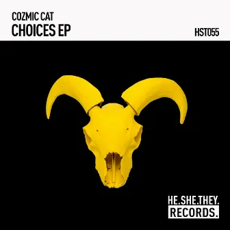 Choices EP by Cozmic Cat