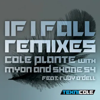 If I Fall (Remixes) by Cole Plante