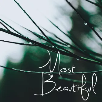 Most Beautiful by Angelo Zibetti