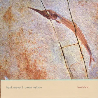 Levitation by Frank Meyer