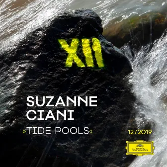 Tide Pools by Suzanne Ciani