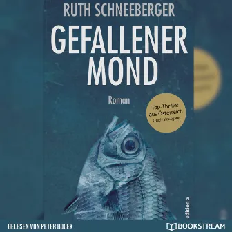 Gefallener Mond [Roman (Ungekürzt)] by Ruth Schneeberger