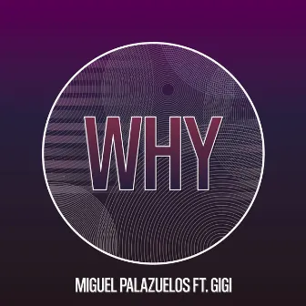 Why (Radio Edit) by Miguel Palazuelos