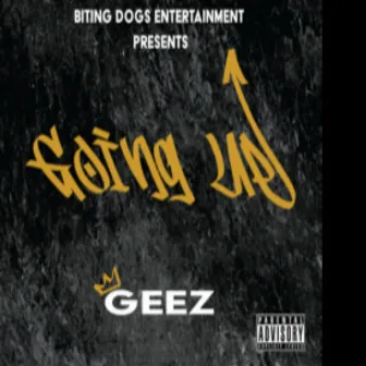 Going Up by Geez