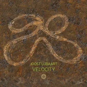 Velocity by Joost Lijbaart