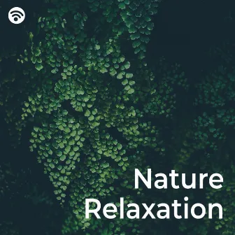 Nature Relaxation (Green Noise Meditation) by Green Noise Sleep