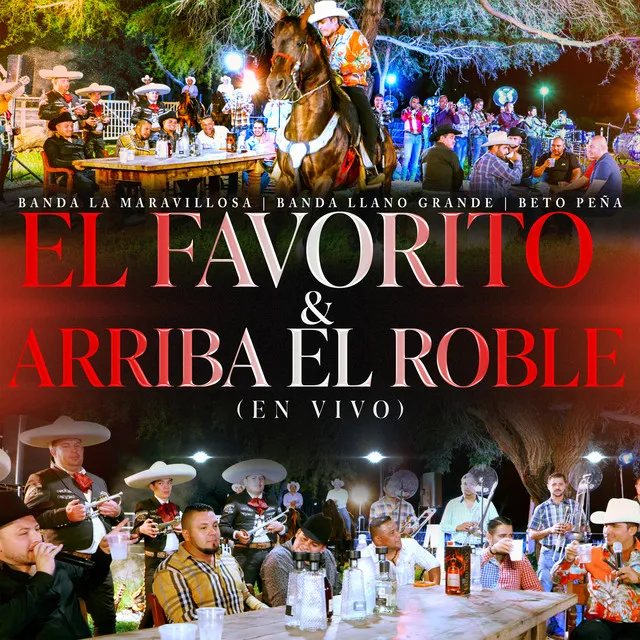 El Favorito & Arriba El Roble - En Vivo