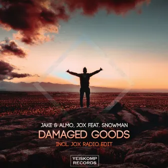 Damaged Goods by Snowman