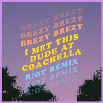 I Met This Dude at Coachella (R!OT Remix) by Brezy