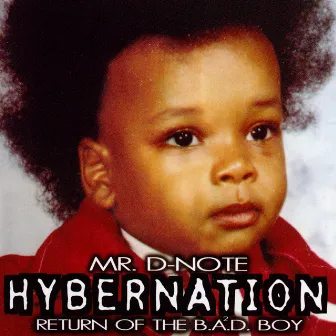 Hybernation by Mr. D-Note