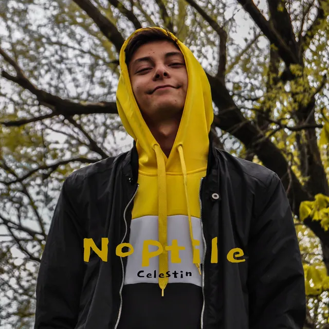 Noptile