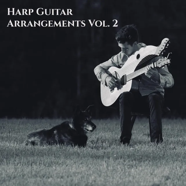 Harp Guitar Arrangements, Vol. 2