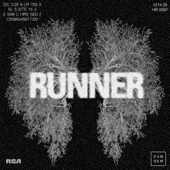 Runner by Sam Dew