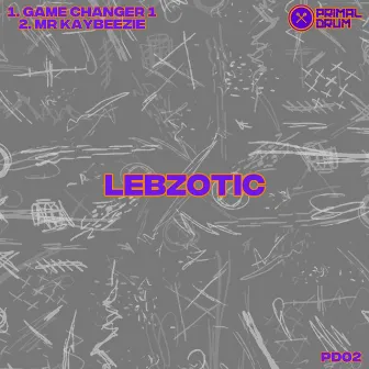 Game Changer by Lebzotic