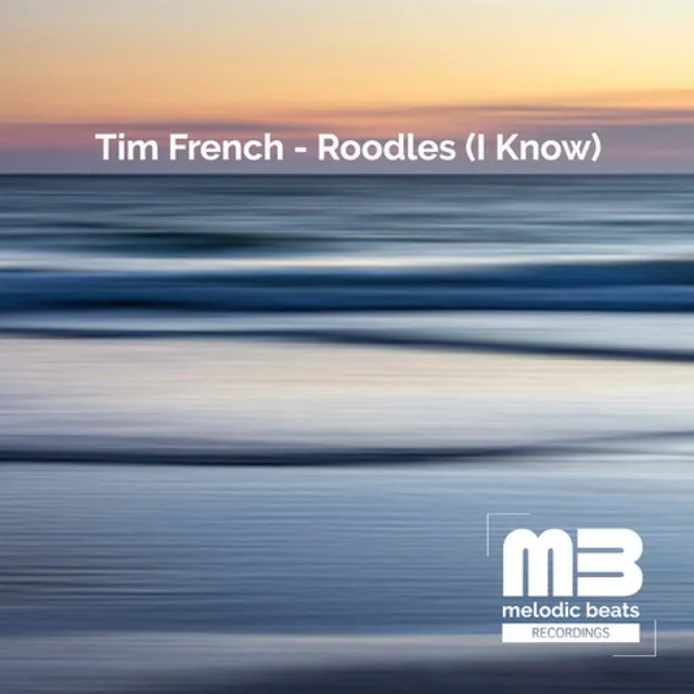 Roodles (I Know) - Radio Edit