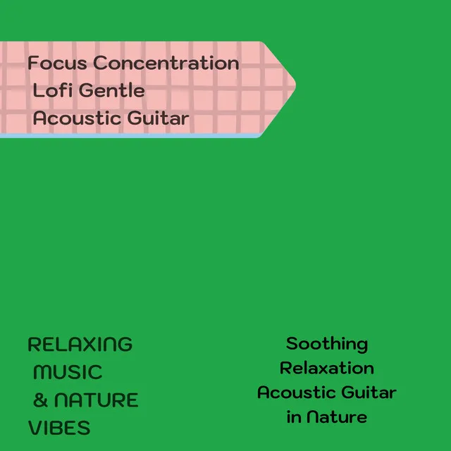 Focus Concentration Lofi Gentle Acoustic Guitar