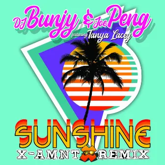 Sunshine(X-Amnt Remix) by Joe Peng