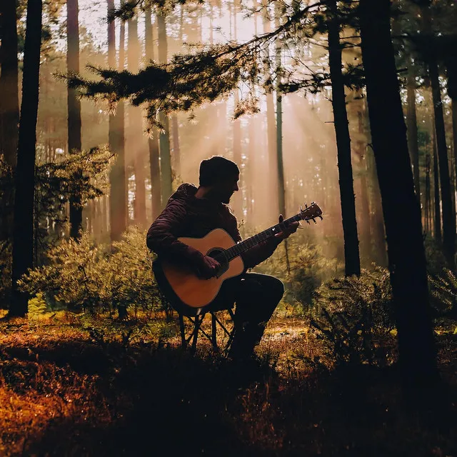 Calma Nocturna En Guitarra